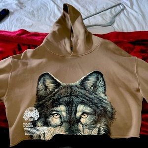 Darc Sport cropped hoodie